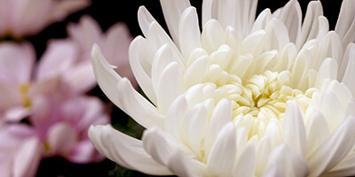 事前に決めておくこと 誰を呼ぶか